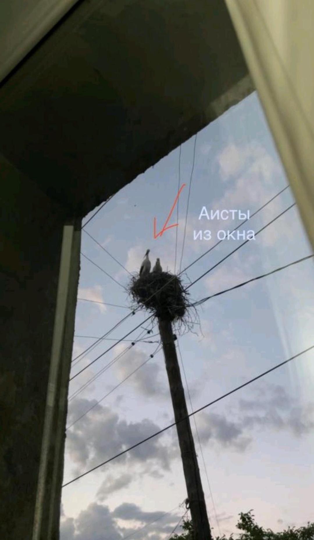 Отель Liviti Арени Экстерьер фото
